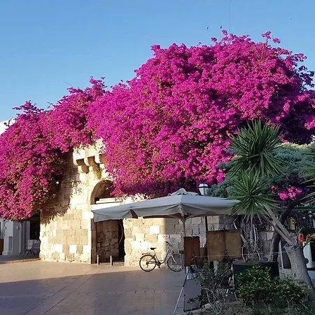 Sandys And Log Hotel Psalidi (Kos)